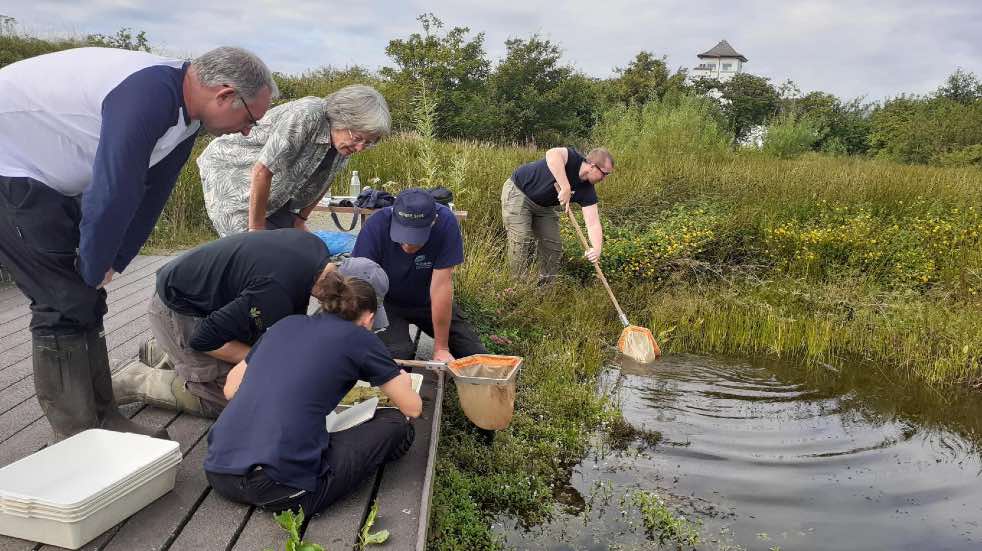 WWT pond dipping